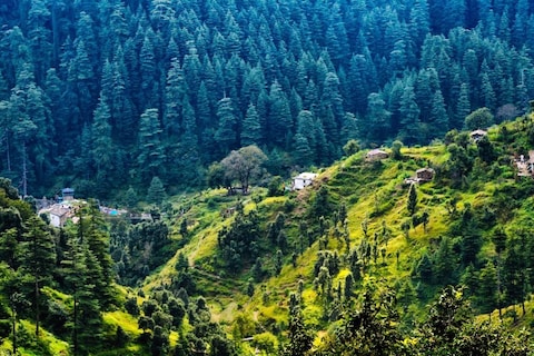 Image from popular destination Ranikhet - A Camper's Delight & Trekker's Paradise