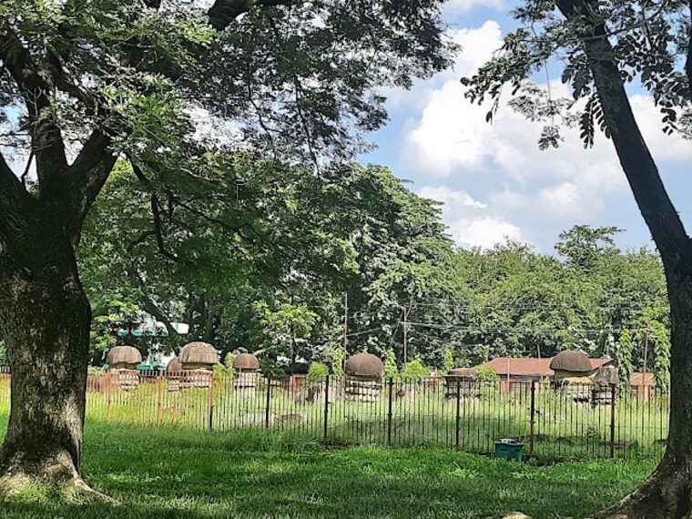 kachari_ruins_dimapur_3