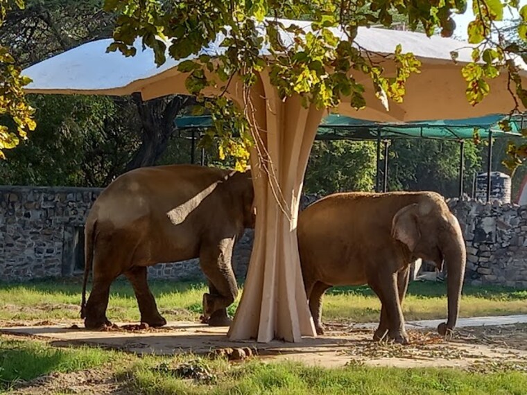 zoological_park_dimapur_1