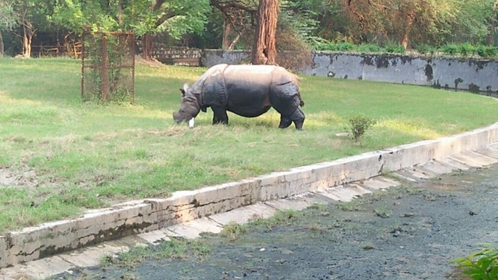 zoological_park_dimapur_3