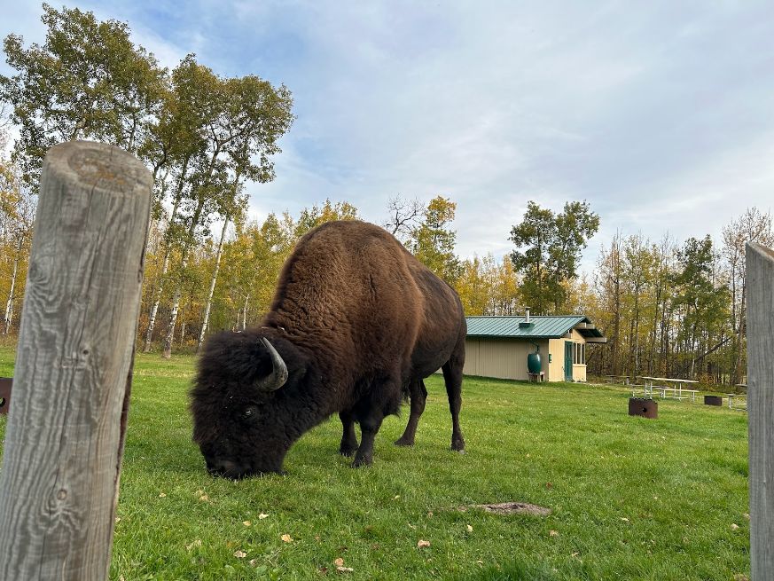 Edmonton_Elk_Island_National_Park_1