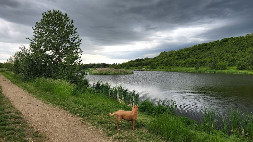 Edmonton_Hermitage_Park_3