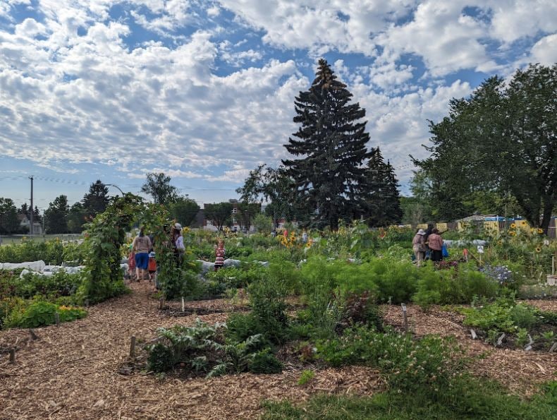 Edmonton_Urban_Farm_1