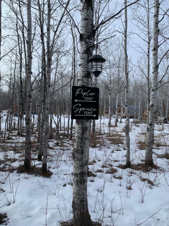 Glamping_at_Boreal_Forest_3