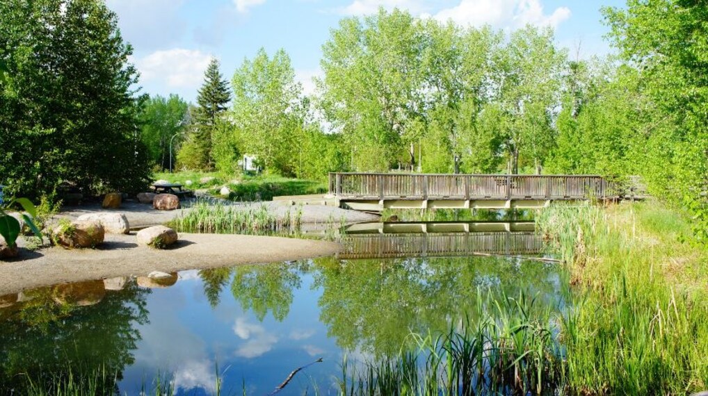 Edmonton_John_Janzen_Nature_Centre_2