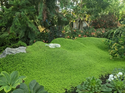 Muttart Conservatory