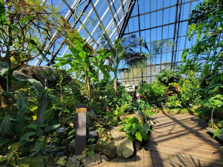 Edmonton_Muttart_Conservatory_2