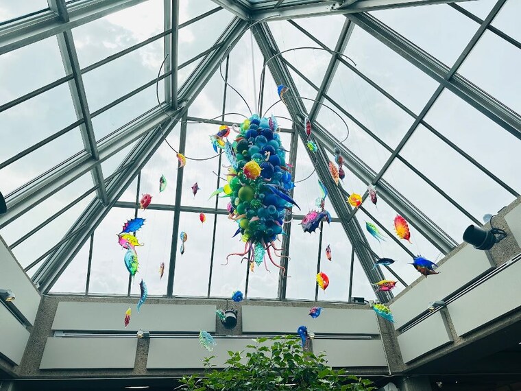 Edmonton_Muttart_Conservatory_8