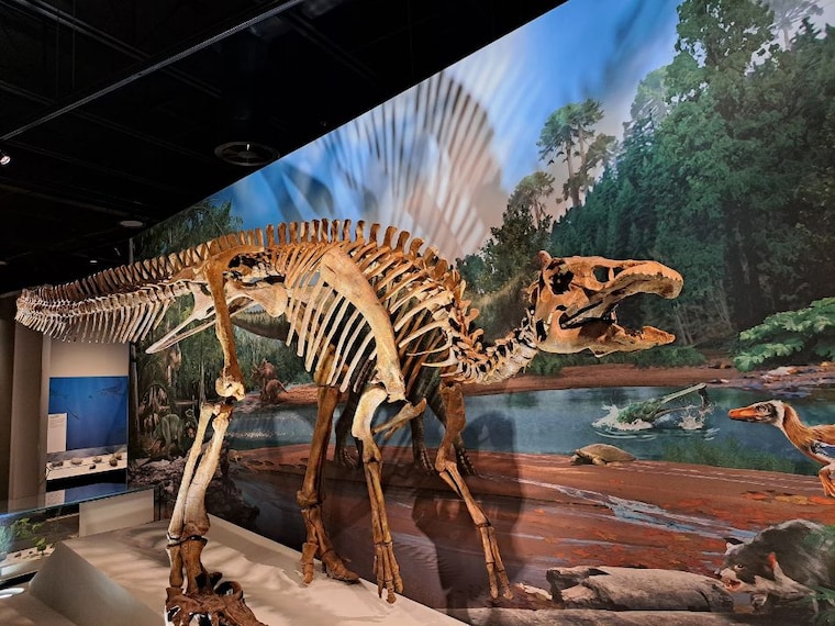 Edmonton_Royal_Alberta_Museum_10