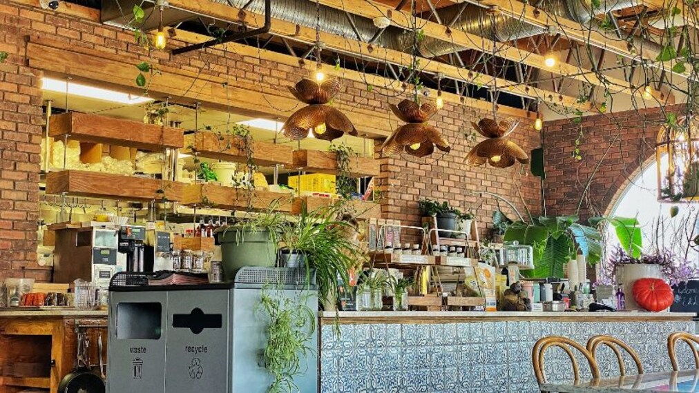 Edmonton_The_Moth_Cafe_4