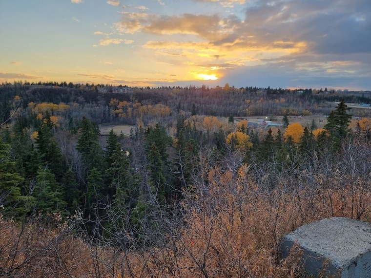 Edmonton_Whitemud_Park_2