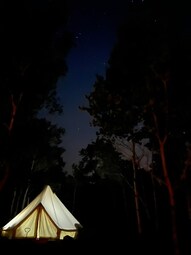 Glamping at Boreal Forest