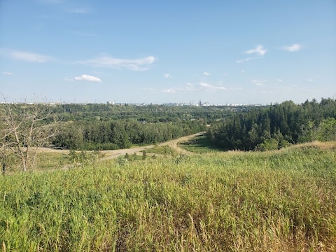 Hermitage Park