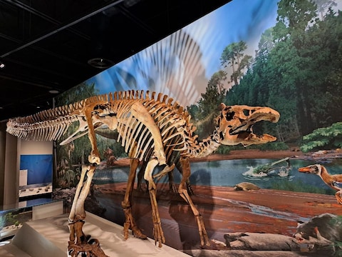 Royal Alberta Museum