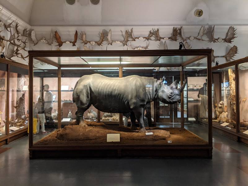 Gothenburg_Museum_of_Natural_History_10
