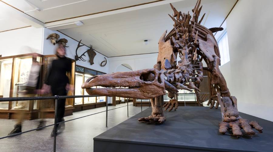 Gothenburg_Museum_of_Natural_History_4