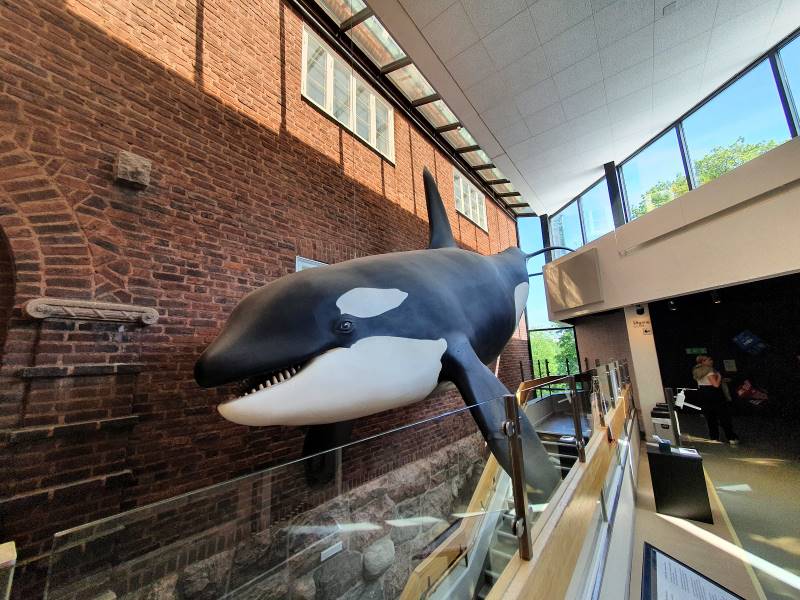 Gothenburg_Museum_of_Natural_History_7