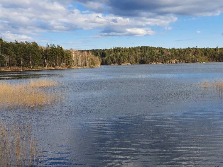 Gothenburg_Delsjoomradets_Naturreservat_1
