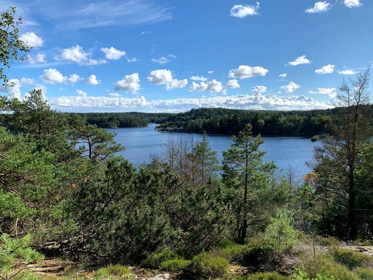 Gothenburg_Delsjoomradets_Naturreservat_2