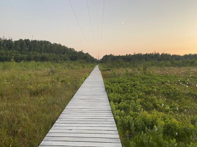 Gothenburg_Delsjoomradets_Naturreservat_3