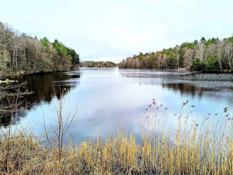 Gothenburg_Delsjoomradets_Naturreservat_6