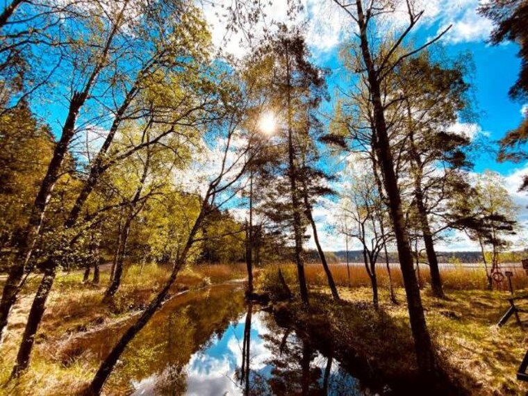 Gothenburg_Delsjoomradets_Naturreservat_7