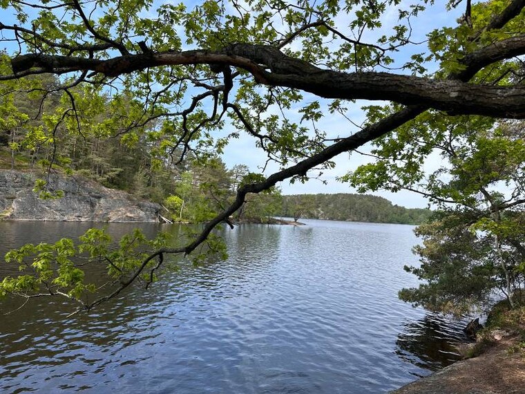 Gothenburg_Delsjoomradets_Naturreservat_9