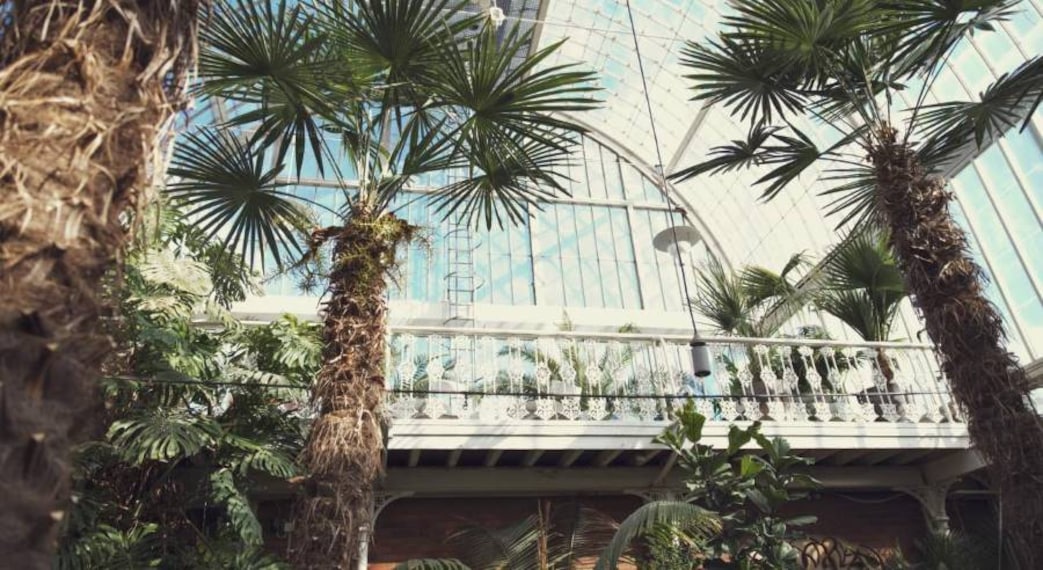 Gothenburg_Horticultural_Gardens_3