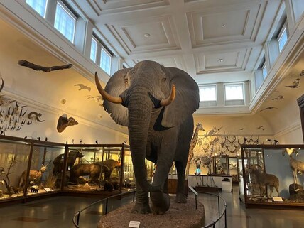 Gothenburg Museum of Natural History
