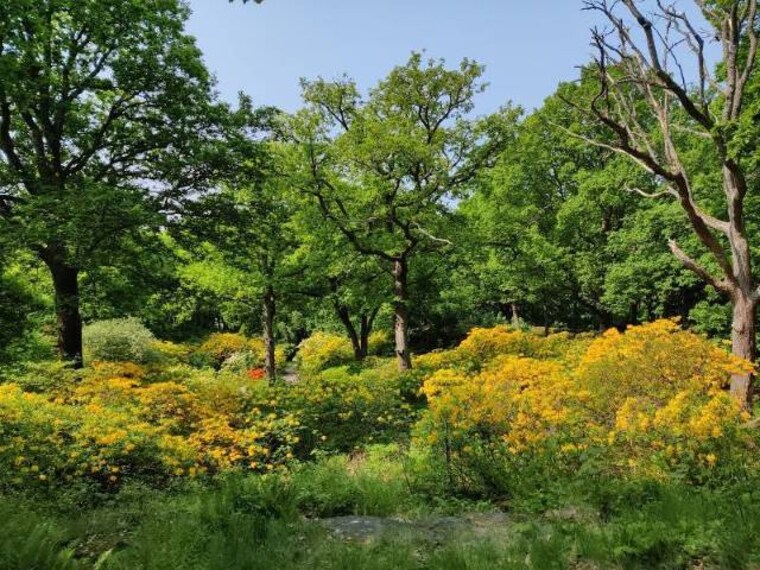 Gothenburg_Slottsskogen_1