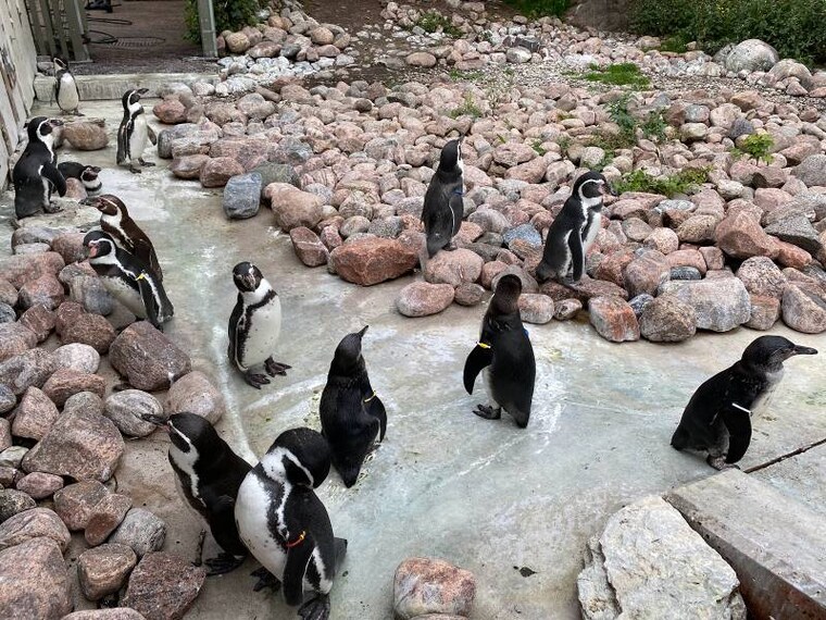 Gothenburg_Slottsskogen_7