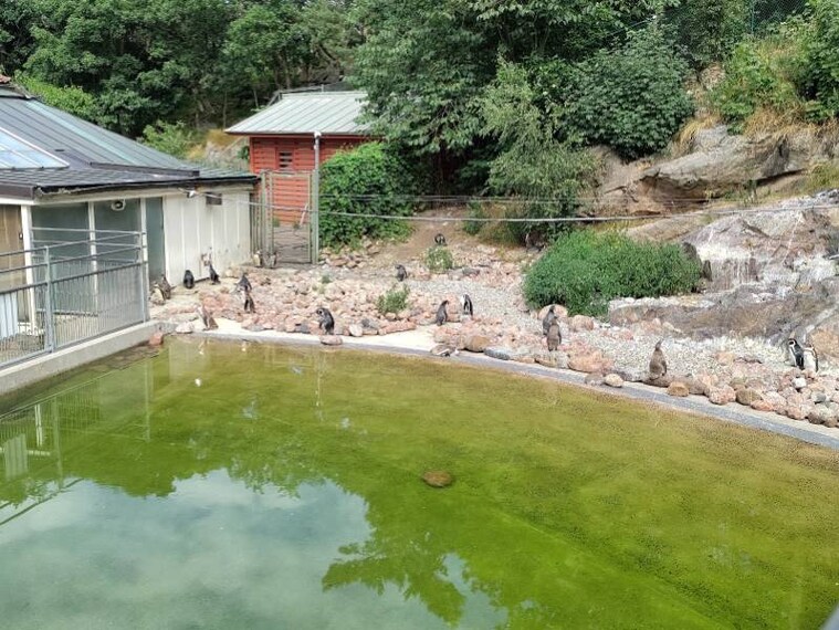 Gothenburg_Slottsskogen_8