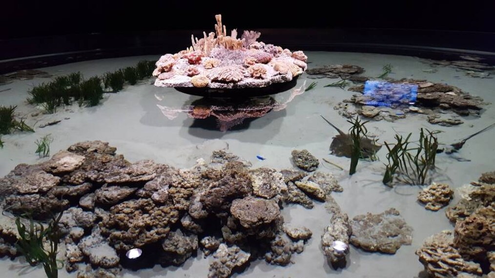 Gothenburg_Universeum_10