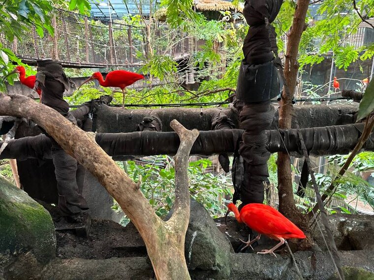 Gothenburg_Universeum_3