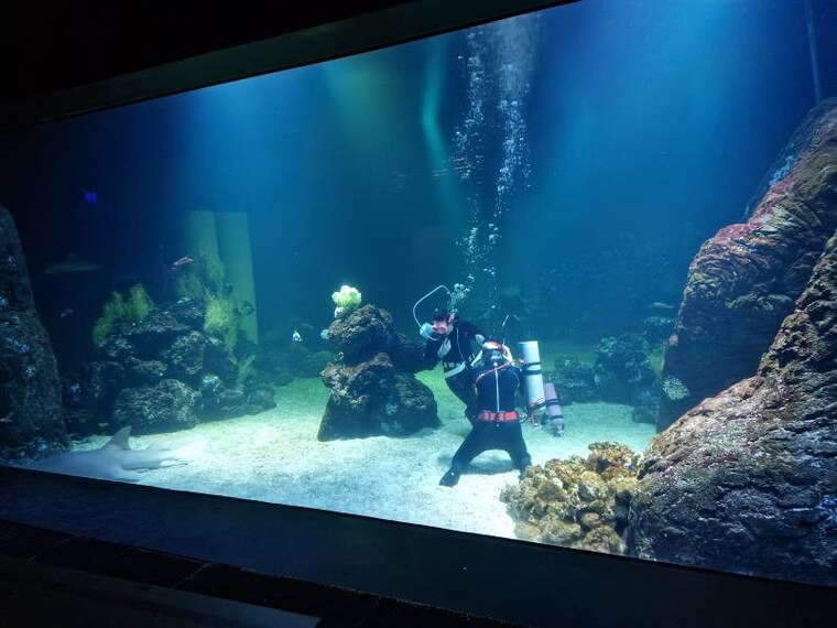 Gothenburg_Universeum_5