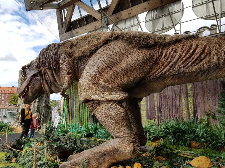 Gothenburg_Universeum_9