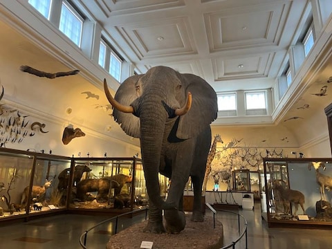 Gothenburg Museum of Natural History