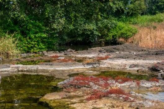 jabalpur_dumna_nature_park