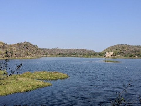 Get Close to Nature at Sangram Sagar Lake