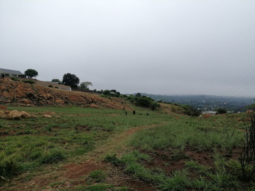 Johannesburg_Melville_Koppies_Nature_Reserve_5