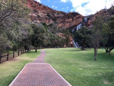 Johannesburg_Walter_Sisulu_National_Botanical_Garden_10
