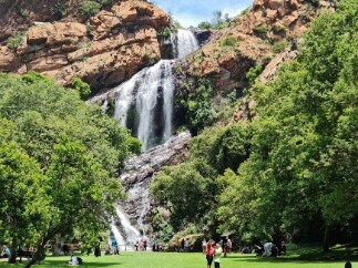 Johannesburg_Walter_Sisulu_National_Botanical_Garden_1