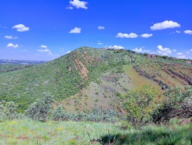 Johannesburg_Walter_Sisulu_National_Botanical_Garden_4