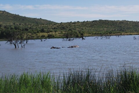 Pilanesberg National Park