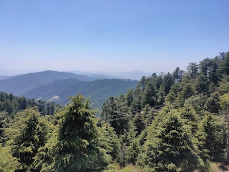 Kufri, Himachal Pradesh