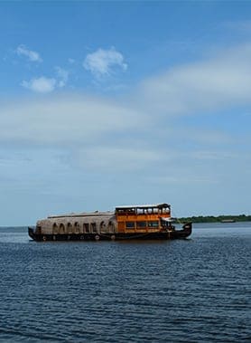 Kumarakom Cruise Through The Backwaters Portrait Image