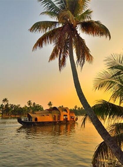 Kumarakom Stay In A Houseboat Portrait Image