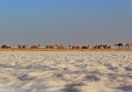 Great Rann Of Kutch