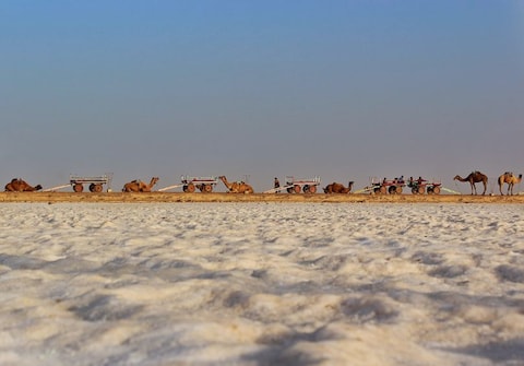 Great Rann Of Kutch, Rann of Kutch