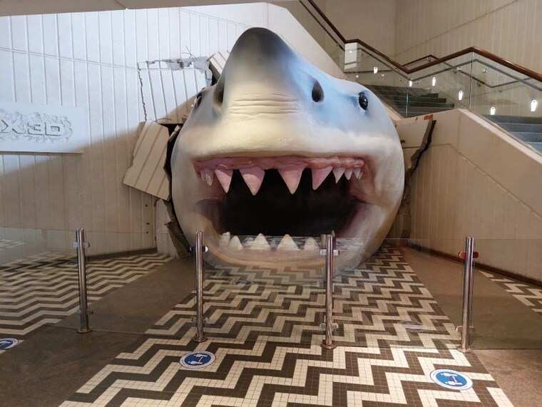 Kuwait_The_Aquarium_5